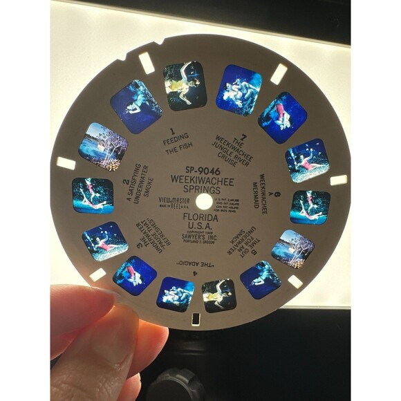 Vintage View-Master Florida Reels Lot – Cypress Gardens, Everglades, WeekiWachee - Picture 4 of 8